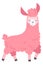 Pink lama. Cute baby girl alpaca character