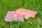 Pink laptop, book, pen and disk on key on green grass