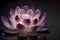 pink and light purple lotus flower with a floating light in the centre (AIgen)