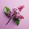 Pink Lilac Flower: Photorealistic Rendering With Minimal Retouching