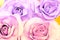 pink and lilac roses foam rubber background