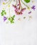 Pink, lilac and yellow spring or summer garden flowers and plants on light wooden background