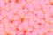 Pink Lilies - Beautiful Girly Background