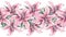 Pink lily flowers isolated on white background. Watercolor handwork illustration. Seamless pattern frame border with lilies