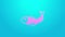 Pink line Dried fish icon isolated on blue background. 4K Video motion graphic animation