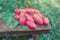 Pink long tomatoes. Fresh long tomato on a wooden table.