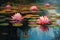 Pink lotus, beautiful scenery quit pond