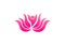 Pink lotus flower, business vector logo