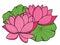 Pink lotus flower with leaves illustration art