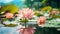 Pink lotus flowers bloom above the water, with large green leaves and reflections on the calm surface