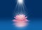 Pink lotus with light beams