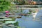 Pink lotus in a pond reflection and pagodas.