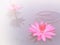 Pink lotus in soft filter