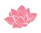 Pink lotus water flower lily icon