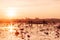 Pink lotus water lilies full bloom against morning light - pure and beautiful red lotus lake in Nong Harn, Udonthani - Thailand