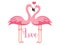 Pink love flamingo silhouette vector art on a white background