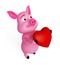 Pink loving pig