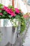 Pink magenta hydrangea flower in a giant metal chrome flowerpot, fertikal photo. Street decoration. Blossom hydrangea and ivy