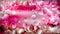 Pink Magenta Petal Beautiful elegant Illustration graphic art design Background