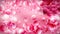 Pink Magenta Petal Beautiful elegant Illustration graphic art design Background