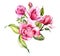 Pink magnolia Flower bouquet Watercolor Illustration, Magnolia Arrangement on white background, Spring Floral Illustration