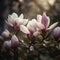 Pink magnolia flowers in the outdoor. Generated by AI