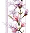 Pink magnolia flowers on a twig with shadow and vertical lines o