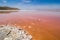 Pink Maharloo Lake in Shiraz, Iran