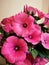 Pink malva bouquet detail