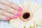 Pink manicure and delicate daisy flower