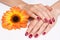 Pink manicure and orange flower