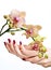 Pink manicure and orchid