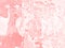 Pink marble background texture blank for design.Pink light marble patterned texture background, Detailed genuine marble.