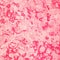 Pink marbled antique book end paper texture