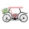 Pink marriage carriage with bucket flowers