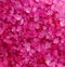 Pink massage sea salt background. Close up