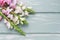 Pink matthiola flowers on mint wooden background