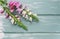 Pink matthiola flowers on mint wooden background