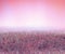 Pink meadow landscape. Fog soft background