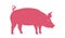pink meaty pig, silhouette