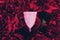 Pink menstrual cup on background of dark roses. Zero waste supplies for personal hygiene. Concept of critical days, menstruation,