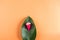 Pink menstrual cup on green leaf with flowers