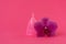 Pink menstrual cup with orchid flower on pink background. Female intimate hygiene concept. Top view