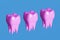 Pink molar teeth on blue background. Minimal dental care concept