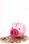 Pink money piggy bank savings