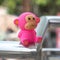 Pink monkey toy portrait on the metal grill for kids