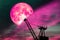 pink moon on colorful cloud and on night sky