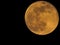 The pink moon at it`s largest size