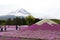 Pink moss at Mt. Fuji