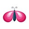 pink moth insect animal